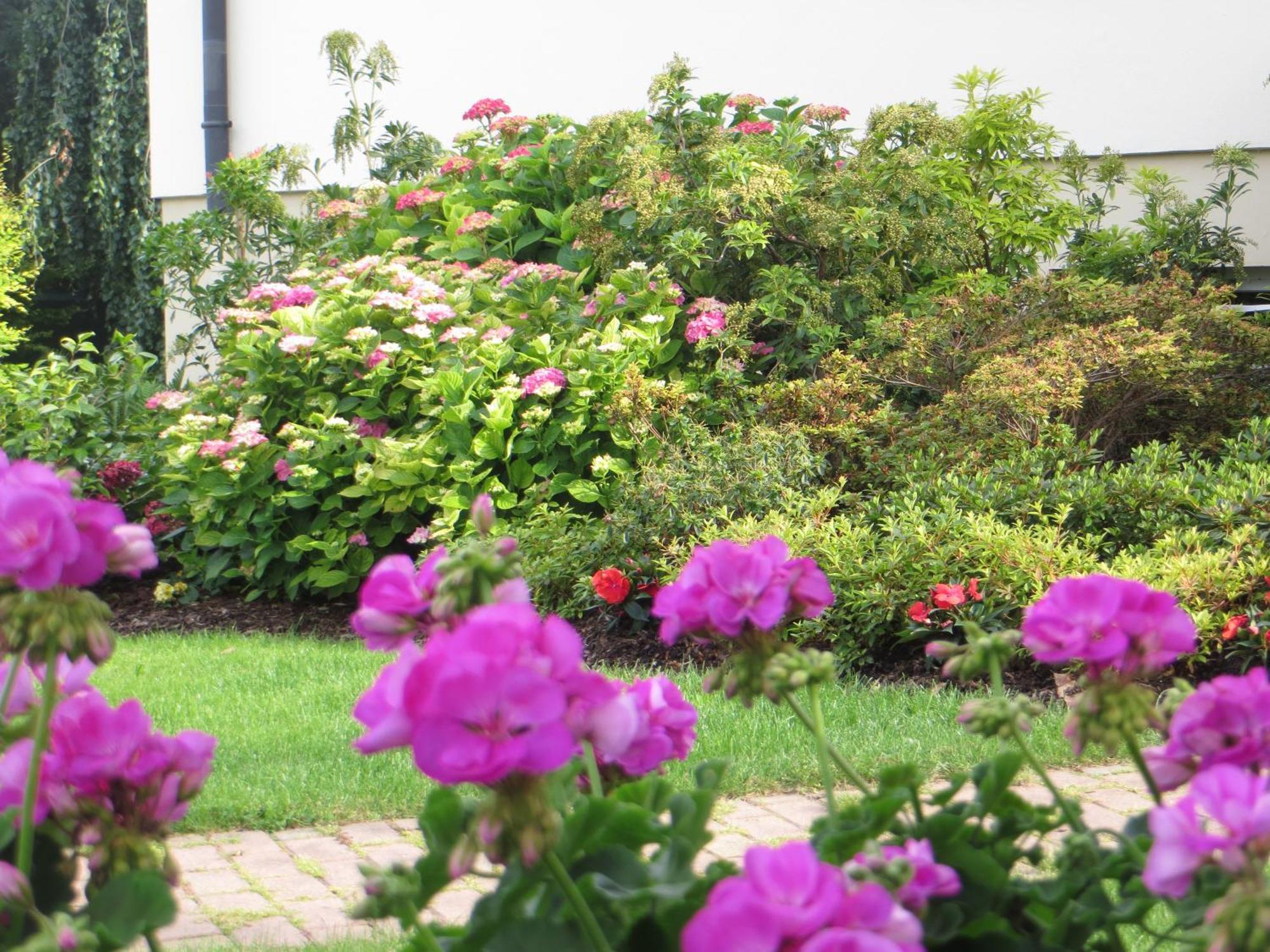 Les Hortensias Fortschwihr Экстерьер фото