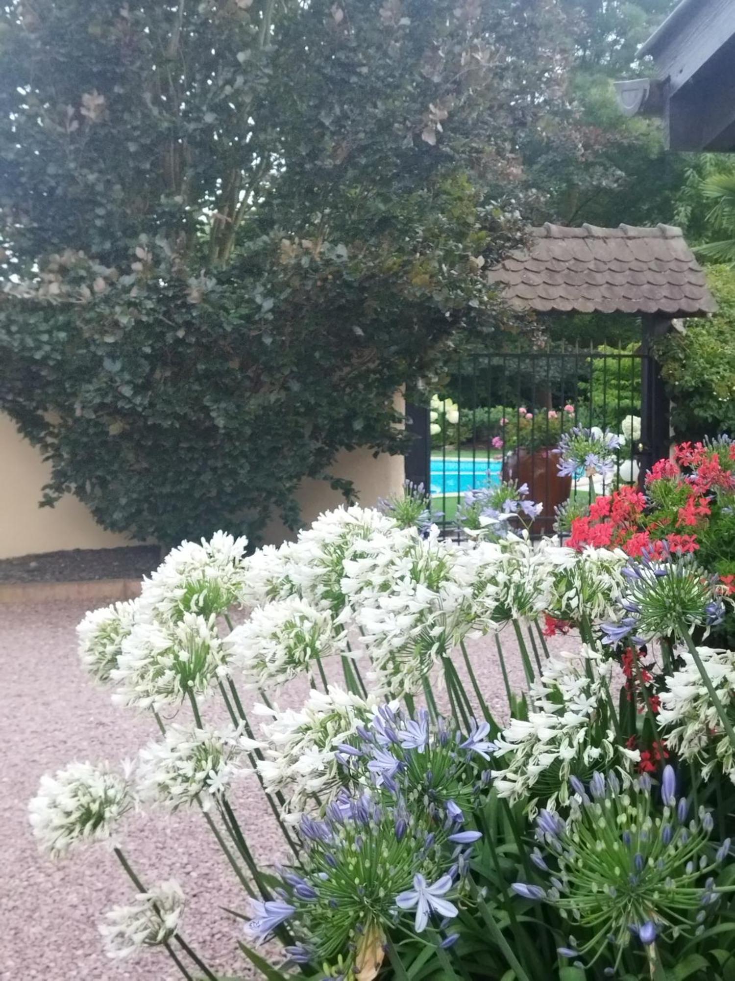 Les Hortensias Fortschwihr Экстерьер фото