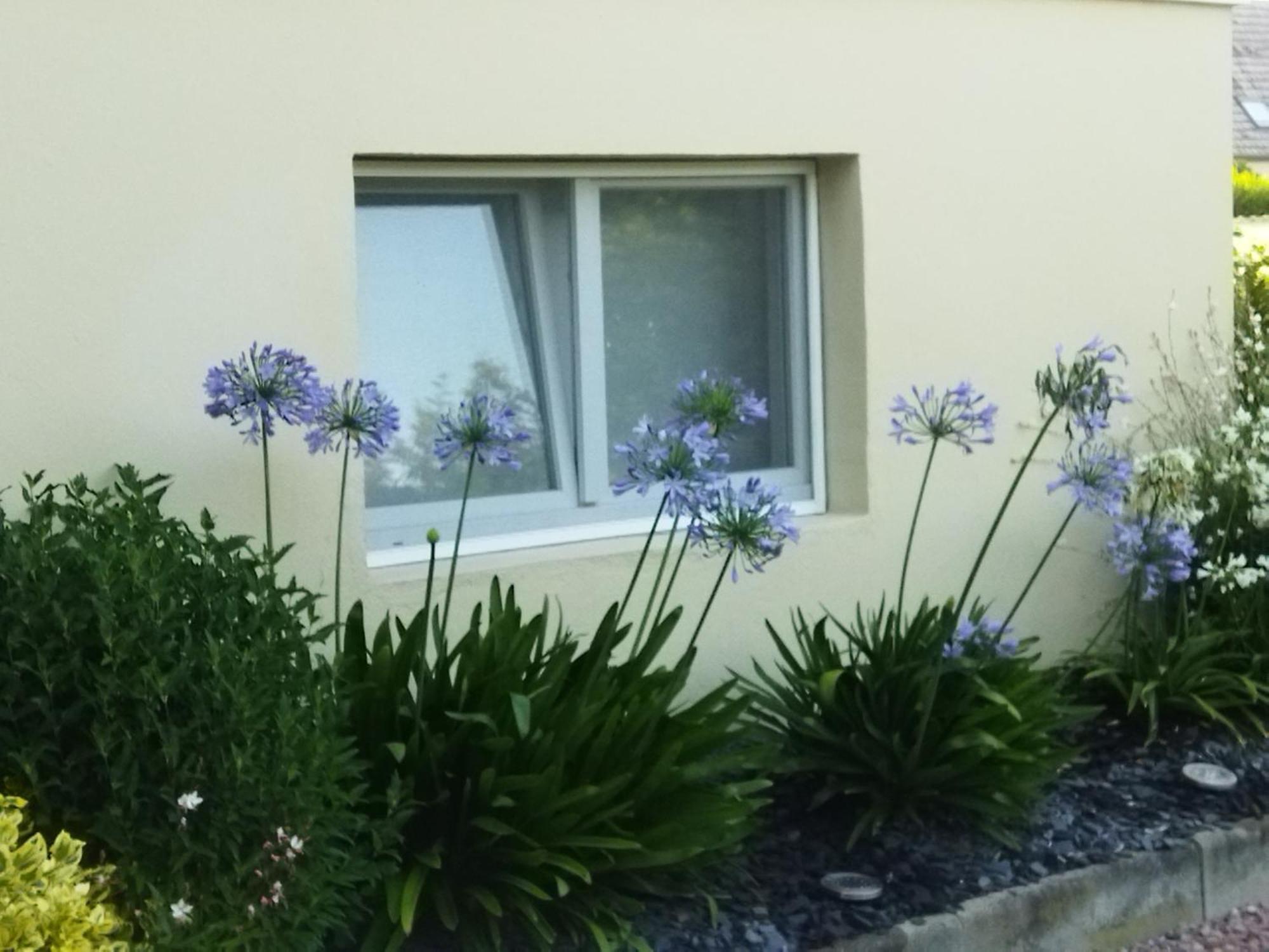 Les Hortensias Fortschwihr Экстерьер фото